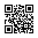 QR CODE 110