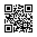 QR CODE 317