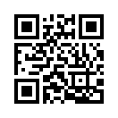 QR CODE 53