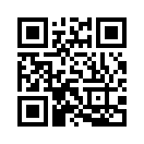 QR CODE 61
