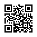 QR CODE 110