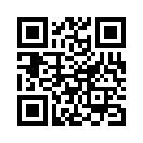 QR CODE 110