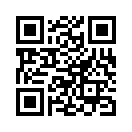 QR CODE 133