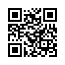 QR CODE 42