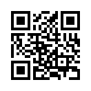 QR CODE 31
