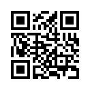 QR CODE 47