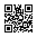 QR CODE 31