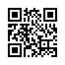 QR CODE 110