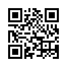 QR CODE 31