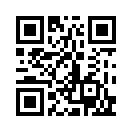 QR CODE 53