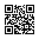 QR CODE 110