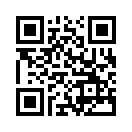 QR CODE 42