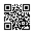 QR CODE 53