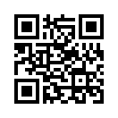 QR CODE 31