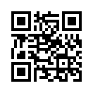 QR CODE 42