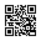 QR CODE 31