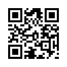 QR CODE 42