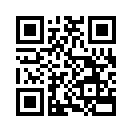 QR CODE 53