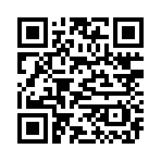 QR CODE 31