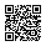 QR CODE 46