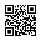 QR CODE 115