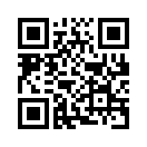 QR CODE 216
