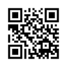 QR CODE 42