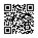 QR CODE 110