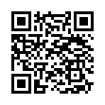 QR CODE 133