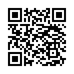 QR CODE 336
