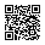 QR CODE 913