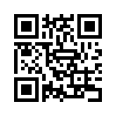 QR CODE 24