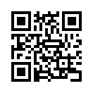 QR CODE 31