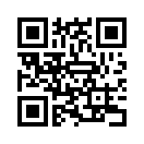 QR CODE 42