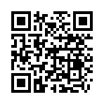QR CODE 1333