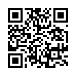 QR CODE 2085