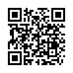 QR CODE 2089