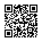 QR CODE 938