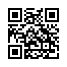 QR CODE 31