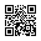 QR CODE 133