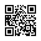 QR CODE 225