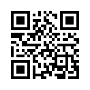 QR CODE 291