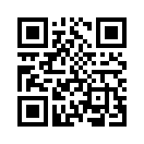 QR CODE 293
