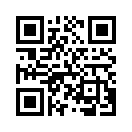 QR CODE 305