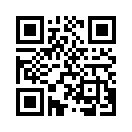 QR CODE 317