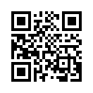 QR CODE 323