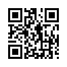 QR CODE 329