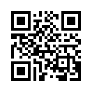 QR CODE 336