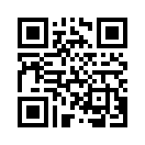 QR CODE 461