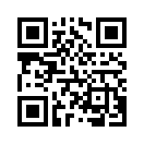 QR CODE 494